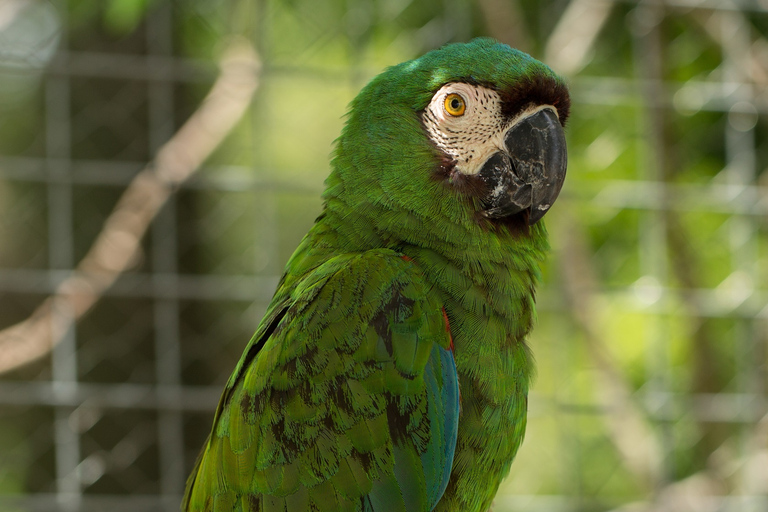 Santa Cruz: Wildlife Sanctuary and Preservation Park Tour