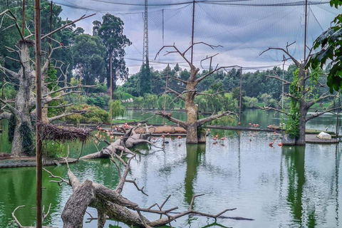 From Batumi: Georgian Amazon & Kolkheti Park Tour