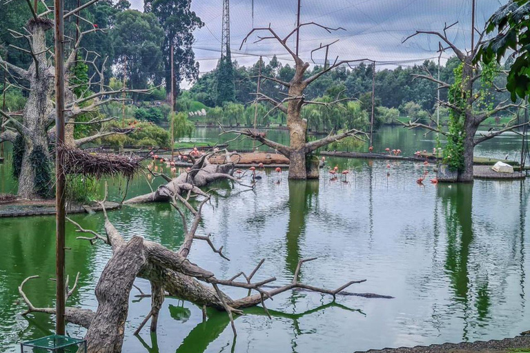 From Batumi: Georgian Amazon & Kolkheti Park Tour