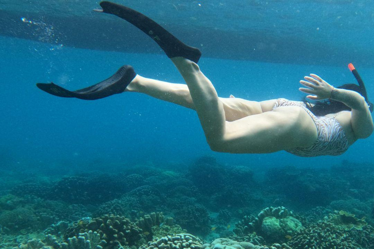 Gili Trawangan: Gili Islands Snorkeling Tour with Turtles Gili Trawangan: Snorkeling Tour with Turtles