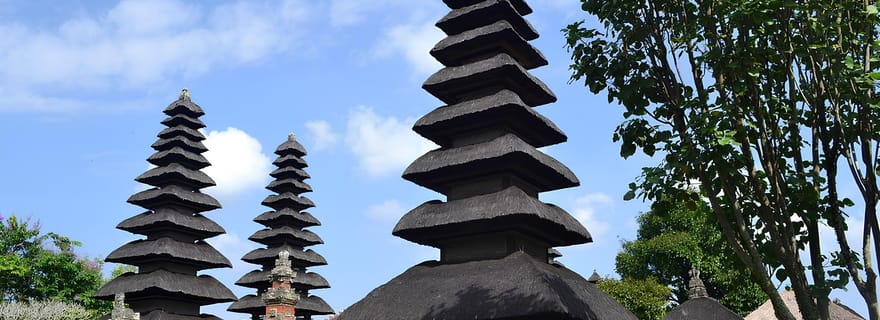 Bali en 1 jour : temples emblématiques - site UNESCO - Tout compris