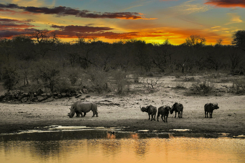 3 Tage Kleingruppen-Safari zum Serengeti NP und Ngorongoro