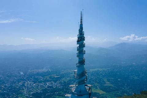 From Kandy: Elephant Orphanage, Ambuluwawa & Tea Museum Tour