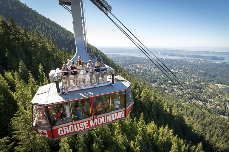 Depuis Vancouver : Pont suspendu de Capilano et Grouse MountainNorth Shore : départ à 11:00