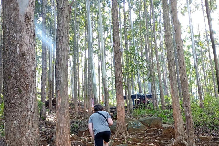 Ella: Tuk-Tuk-tur med Little Adam's Peak och vattenfall