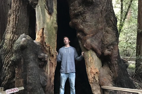 San Francisco: Muir Woods, Pacific Coast & Sausalito Tour