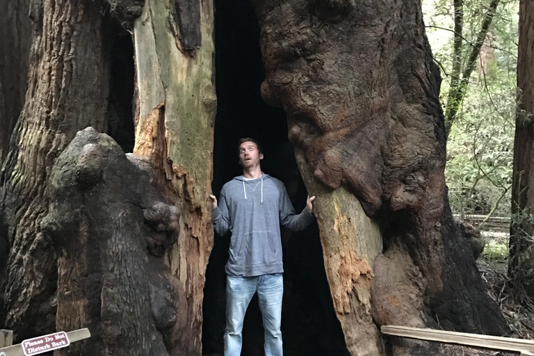 San Francisco: Muir Woods, Pacific Coast & Sausalito Tour