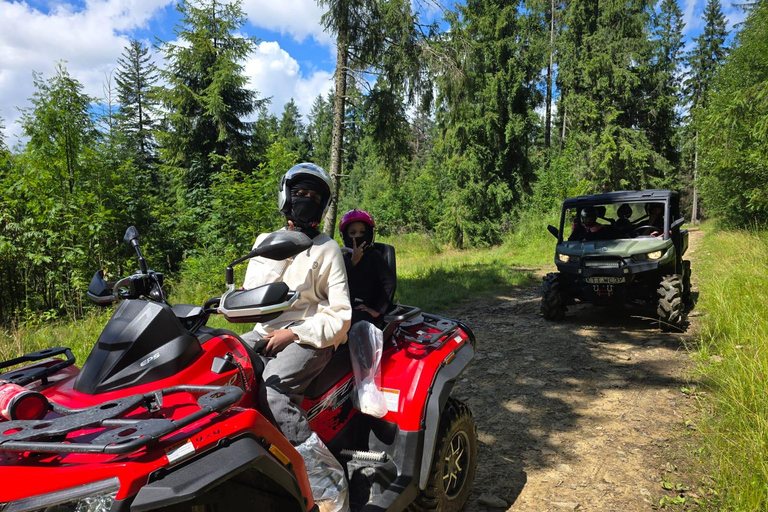 Zakopane: Snowmobile, Quad, or Buggy Tatra Mountains Tour