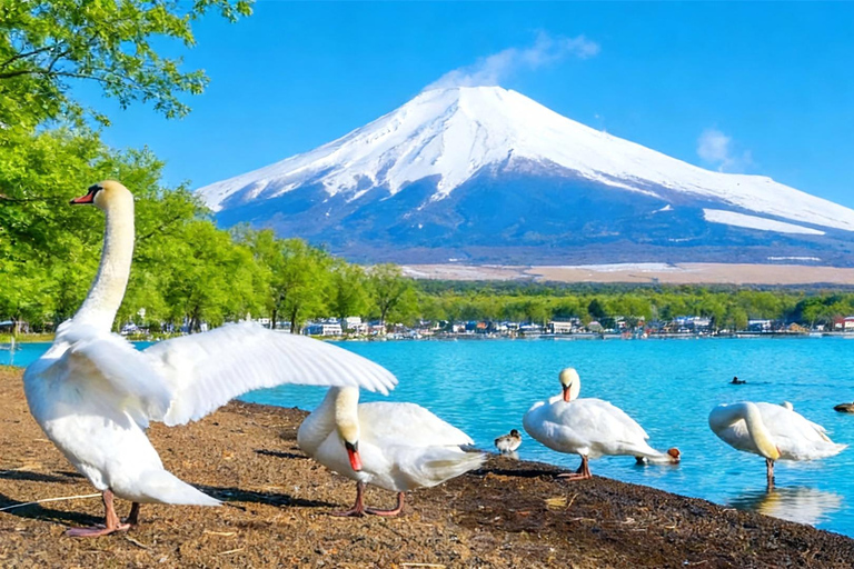Tokyo: Mt Fuji & Arakurayama& Oshino Hakkai&Lake Kawaguchiko 8:00 AM | Shinjuku Station, West Exit