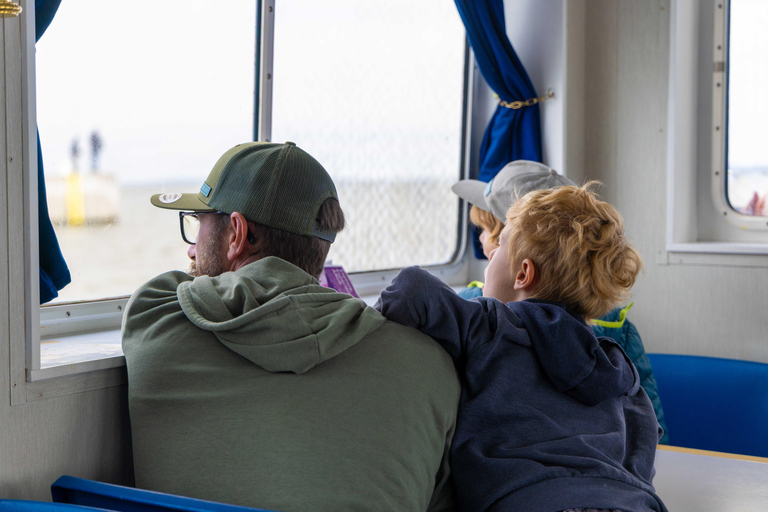 Guided Harbor Cruise: Aarhus Harbor Cruise