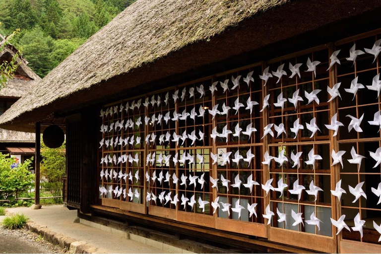 Mt Fuji 8 Spots Customizable Sightseeing Day Tour with Guide Mt Fuji 8 Spots Customizable Sightseeing Day Tour with Guide