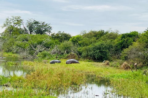 Safari de 1 dia na vida selvagem de Akagera e passeio de barco1 dia de Safari pela vida selvagem em Akagera e passeio de barco