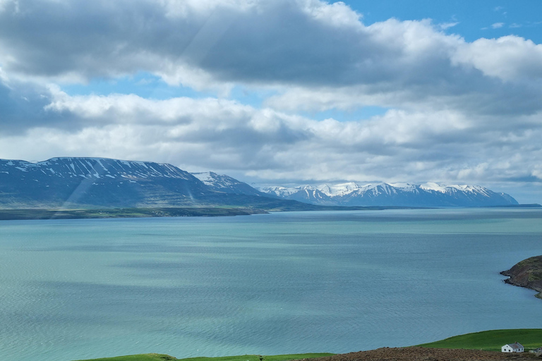 From Akureyri: Lake Mývatn & Dettifoss Private Tour
