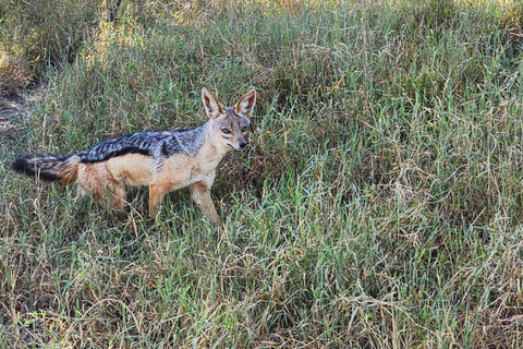 samburu and olpejeta national parks 4 days from nairobi.