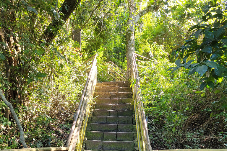 Iguassu Waterfalls Private Day Tour: Beide Seiten, am selben Tag!