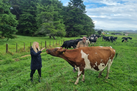 Sheep & Beef Working Farm Private Tour