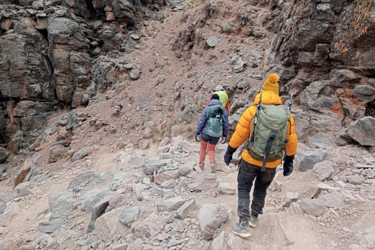 Kilimanjaro bedwingen: 7-daagse Lemosho Route Expeditie