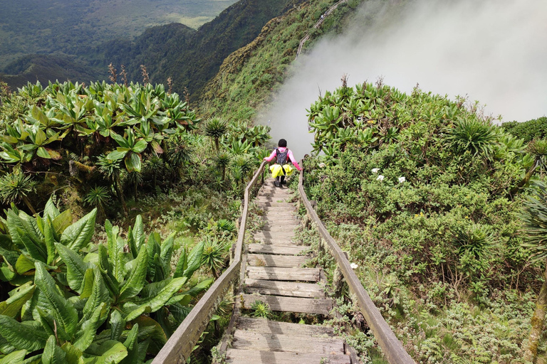 Rwanda 1 Day Mount Sabyinyo Hiking Adventure