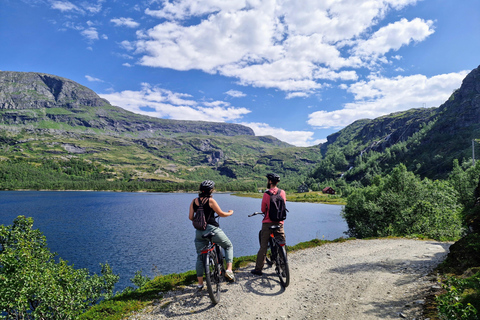 Guided, electric bicycle tour from Vatnahalsen (near Flam) Guided e-bike tour from Vatnahalsen (Myrdal) - Rallarvegen