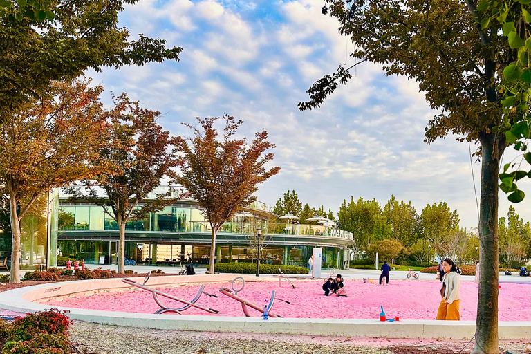 Shanghai Half-Day Bike Tour along East Bank of Huangpu River