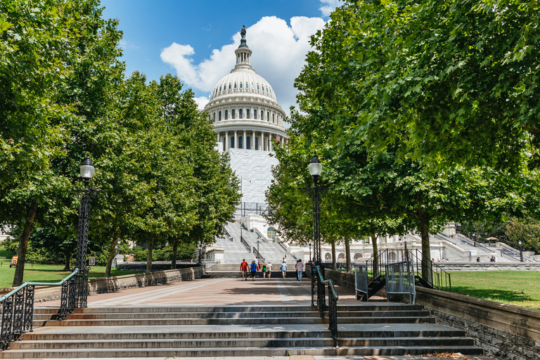 Vanuit New York City: dagtrip Washington DC per Bus