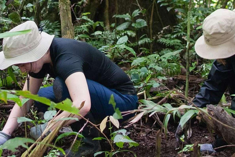 Wycieczka do rezerwatu amazońskiego Madre de Dios-Inkaterra