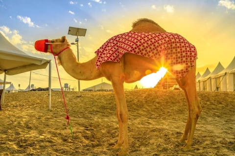 Doha: Privé Woestijnsafari, Kamelenrit, Tocht op de BinnenzeeDOHA: Woestijnsafari, kamelenrit, rondleiding over de binnenzee