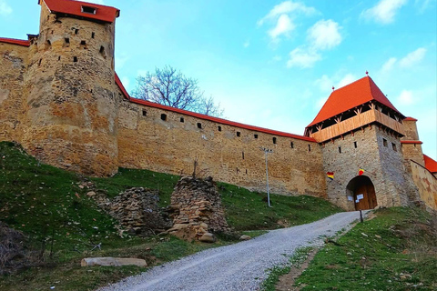 Saxon Villages Tour: Viscri, Rupea Fortress, Criț & Saschiz