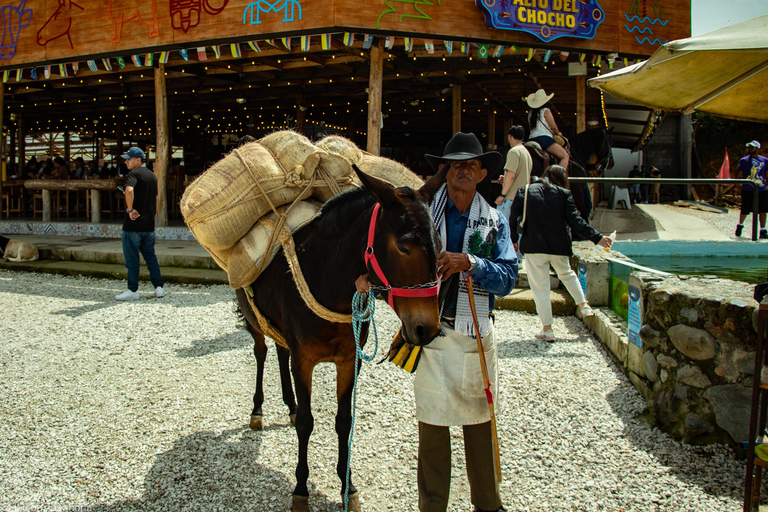 Guatapé Tour: Alto del Chocho Farm & Piedra del Peñol