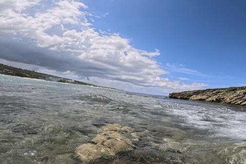 Jobo Beach Turtle Snorkeling Adventure