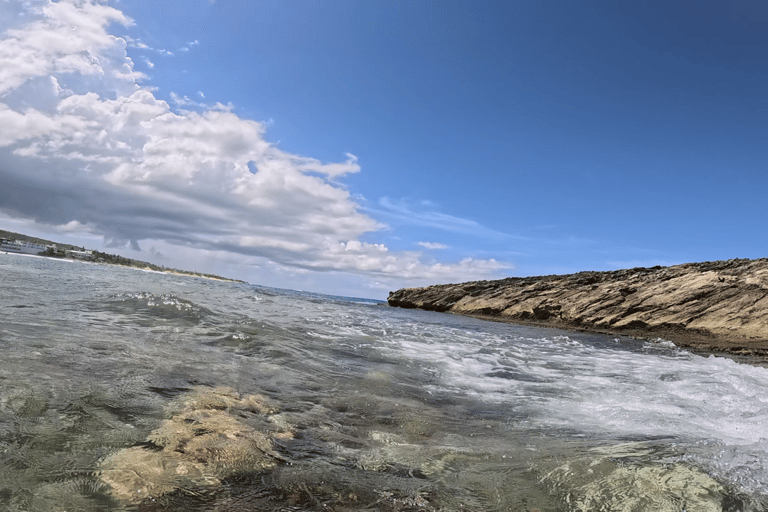 Jobo Beach Turtle Snorkeling Adventure