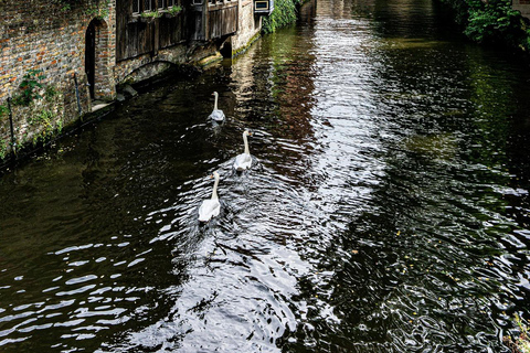 Amsterdam: Bruges Small-Group Day Trip with Introduction