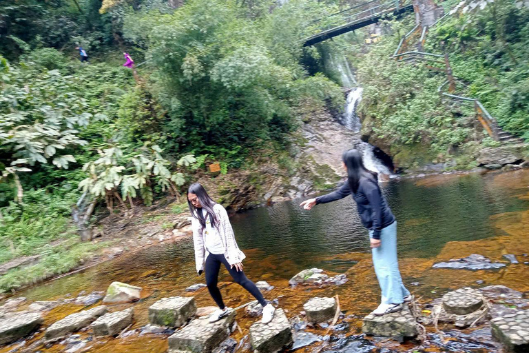 Chauffeured Ride to Silver and Love Waterfall, Lonely Tree