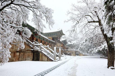 Busan: Gyeongju UNESCO Highlights 6 Hours Express Tour Shared Tour, Meet at Haeundae Station