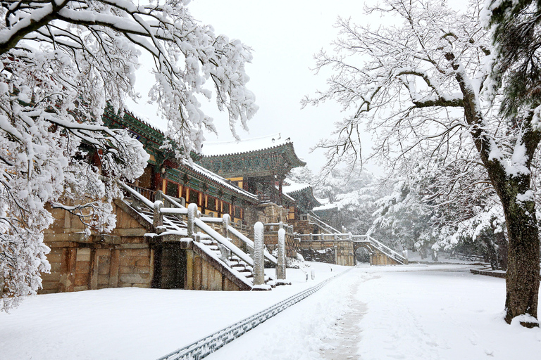 Busan: Gyeongju UNESCO Highlights 6 Hours Express Tour Shared Tour, Meet at Haeundae Station