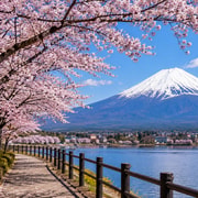 From Chiba: Mount Fuji Tour with all famous places From Chiba: Mount Fuji Tour with all famous places