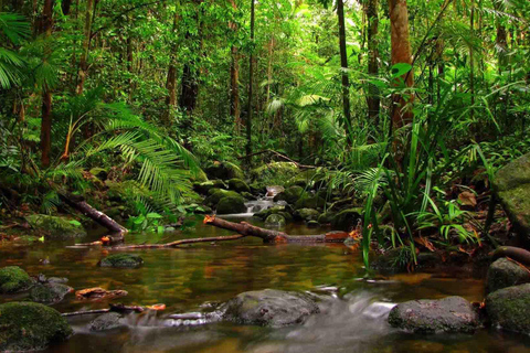 Desde Galle/Weligama/Mirissa/Matara: excursión de un día a Sinharaja