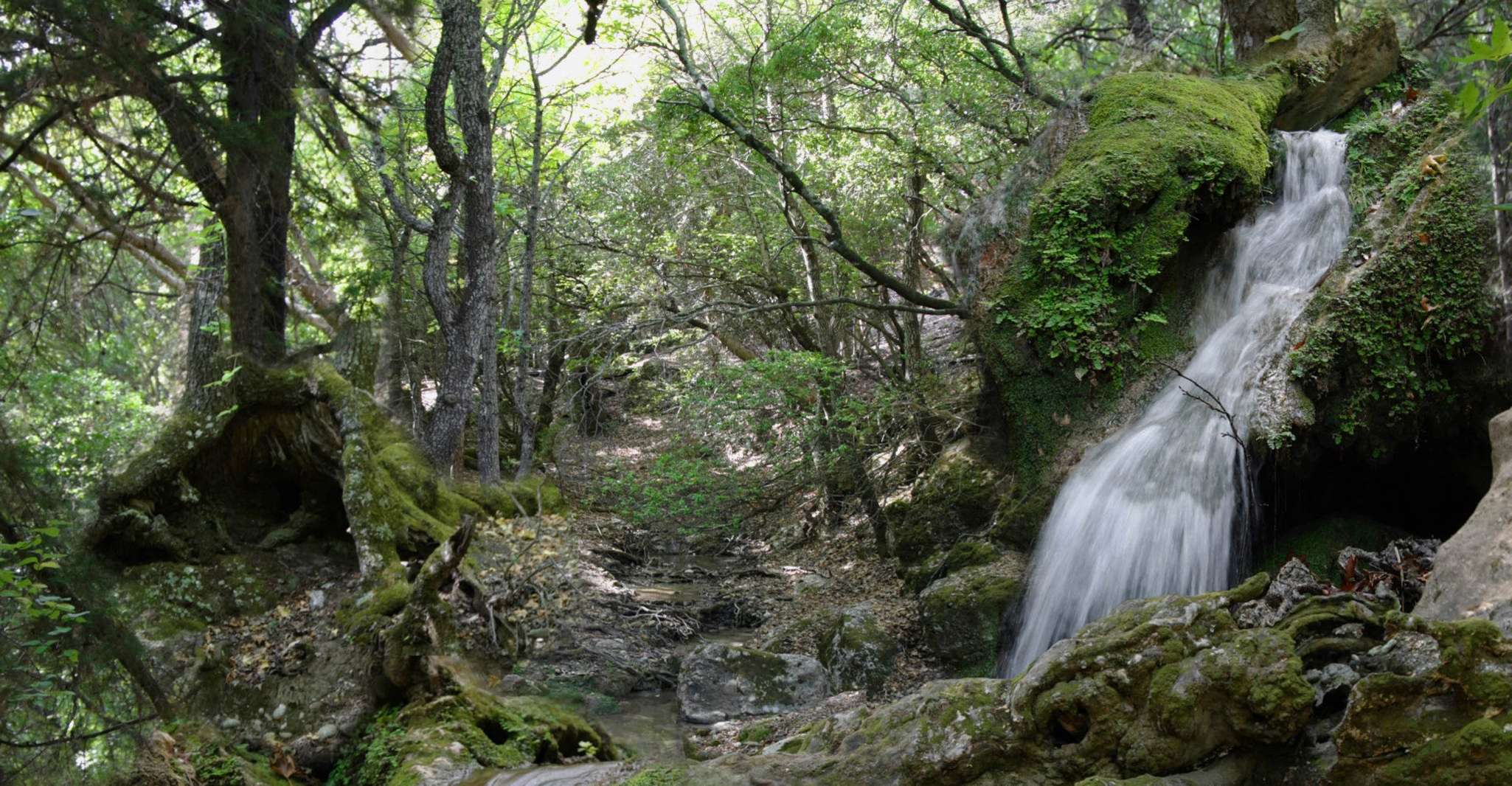 Rhodes, Butterfly Valley & Wine Dastian Tour (небольшая группа) - Housity
