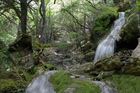 Rhodos: Fjärilsdalen och vinprovningstur (liten grupp)Biljetter till turnén