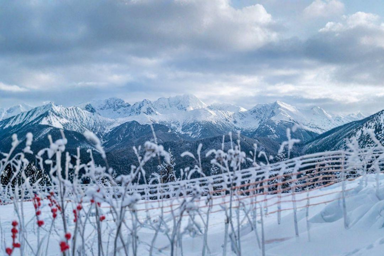 Krakow: Zakopane Tour with Snowmobiles & Bonfire Experience Krakow: %%OFF Zakopane Day Tour with Bonfire & Snowmobiles