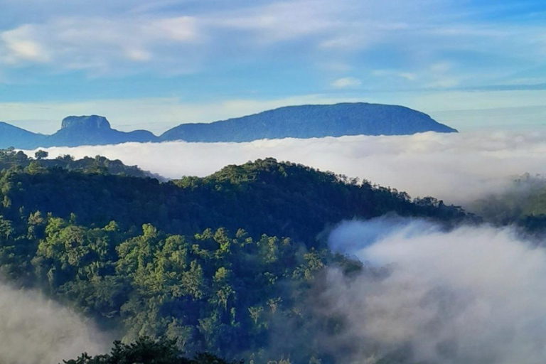 Kandy: Temple of Tooth, Train Ride, & Cave Waterfall Tour