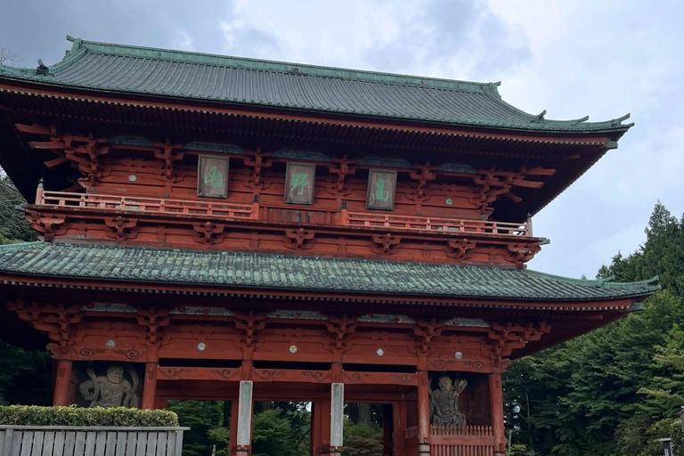 From Osaka/Kyoto: Mt. Koya & Nachi Falls Private Day Trip