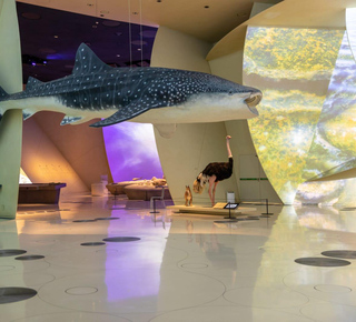 National Museum of Qatar: Tickets and Tours