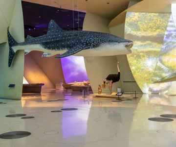National Museum of Qatar: Admission Ticket