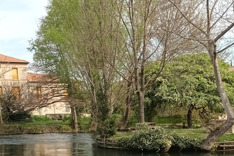 Le Thor, Châteauneuf De Gadagne, St-Saturnin Les Avignon de bicicleta elétricaLE THOR, CHATEAUNEUF DE GADAGNE, ST-SATURNIN DE BICICLETA COM ASSISTÊNCIA ELÉTRICA