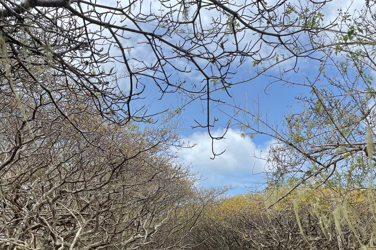 San Cristóbal Island: Highlands Tour with Tortoises