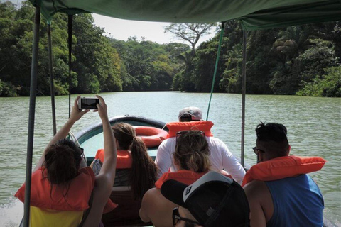 Panama City : Tour en bateau du lac Gatun et de l&#039;île aux singes