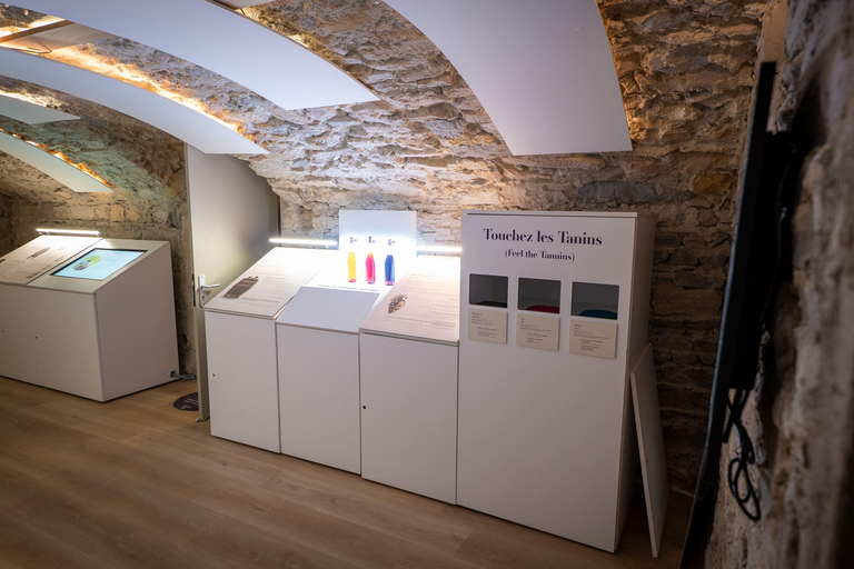 Le Petit Musée du Vin: Tour and tasting in Lyon