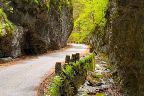 Brașov: Dracula's Castle, Bear Sanctuary, & Cave Tour