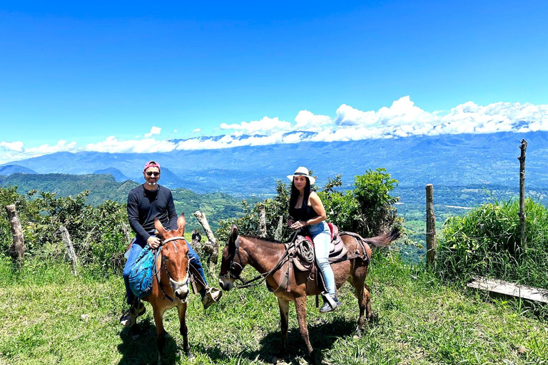 Medellín: Paragliding & Horseback Escape in Antioquia